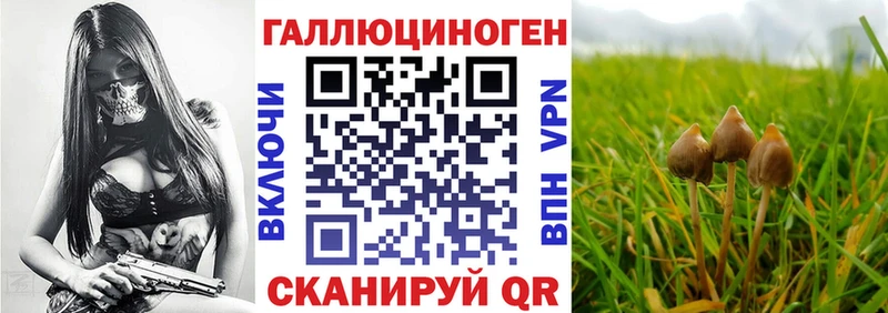 сайты даркнета телеграм  Оса  Псилоцибиновые грибы Magic Shrooms 